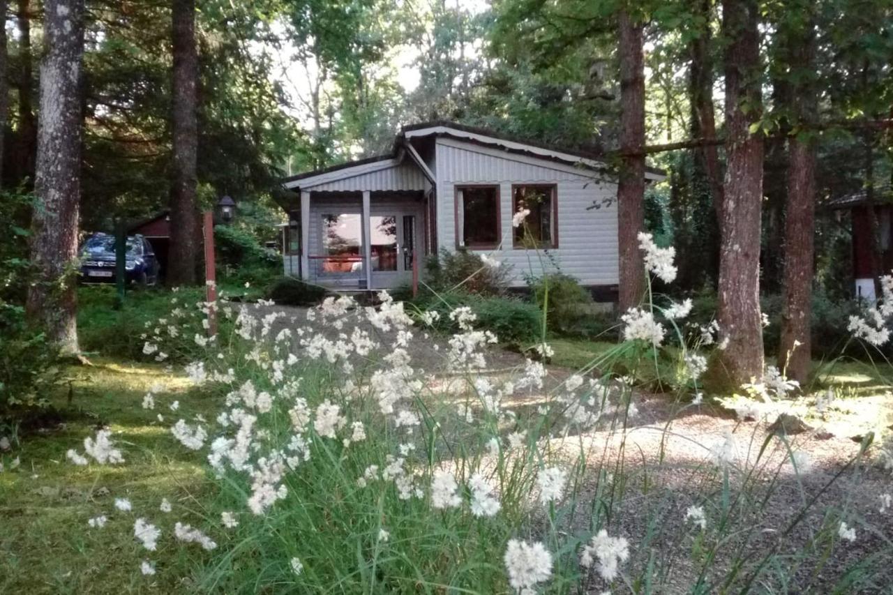 Chalet Siesta Is Rust & Natuur In Durbuy - Barvaux-Sur-Ourthe Exterior foto